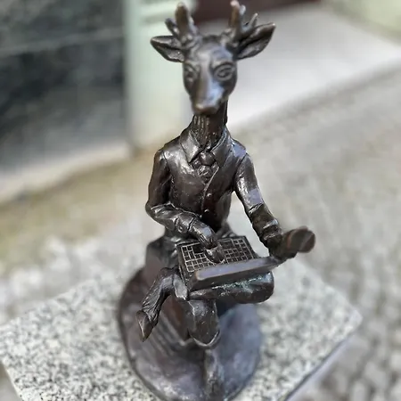 Miniapartament Jelonka يلينيا غورا