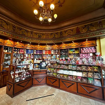 Miniapartament Jelonka * イェレニャ・グーラ